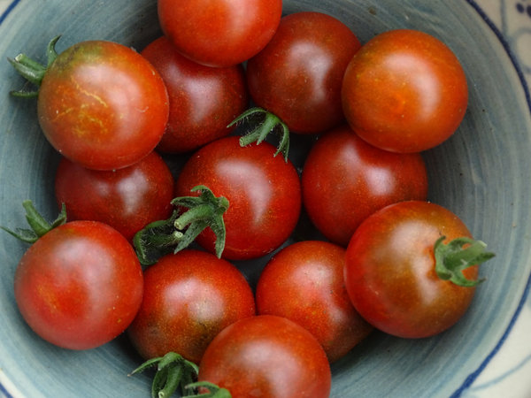 Schokococktail Tomate